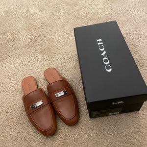 Coach leather mules